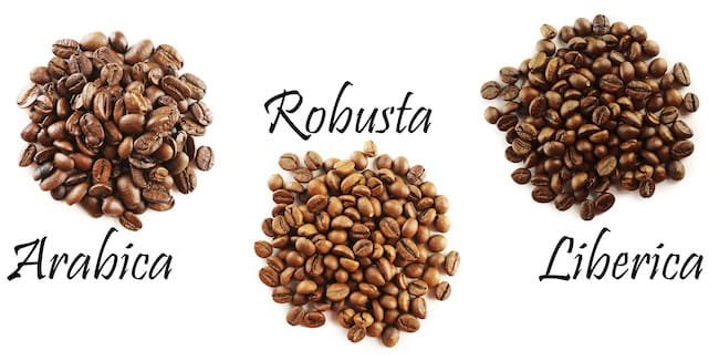 Arabica Robusta ve Liberica e0dd kahve 3 | Shuayip.com