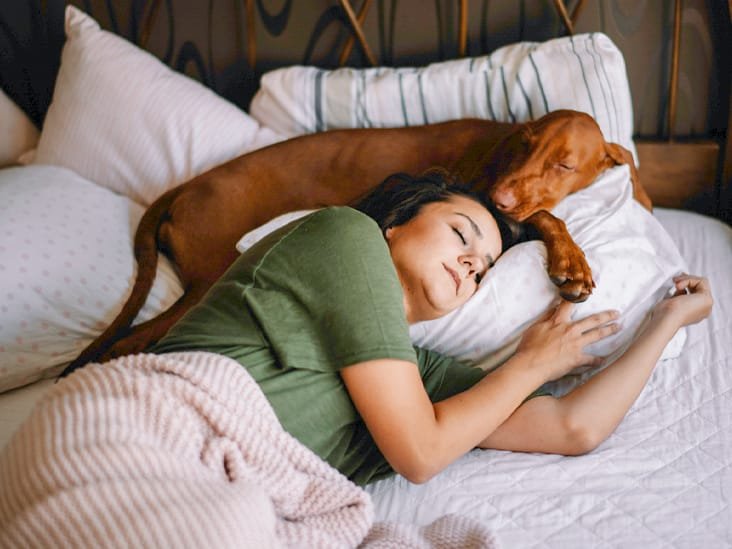 Girl sleeping with her dog 732x549 thumbnail meditasyon 4 | Shuayip.com