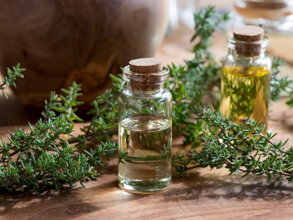 Thyme Oil Guide To Essential Oils Andrew Weil M.D 857777734 kekik yağı 1 | Shuayip.com