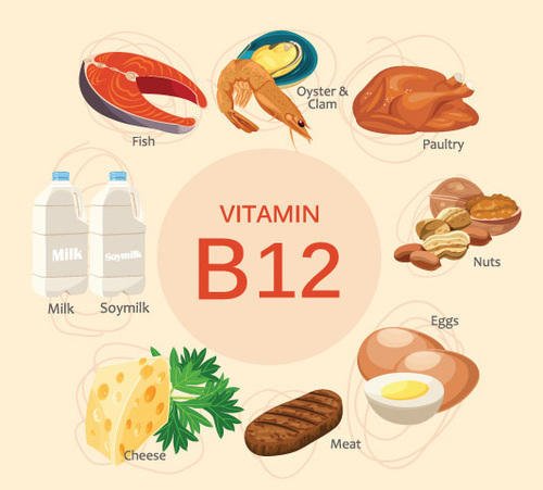 b12 vegan 2 | Shuayip.com