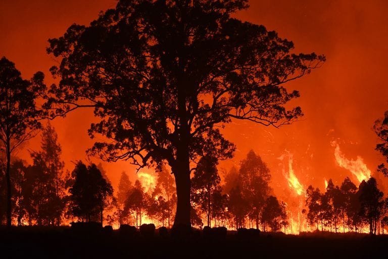 bushfires destroy properties in the twonship of hillville news photo 1578136864 farkındalık 3 | Shuayip.com