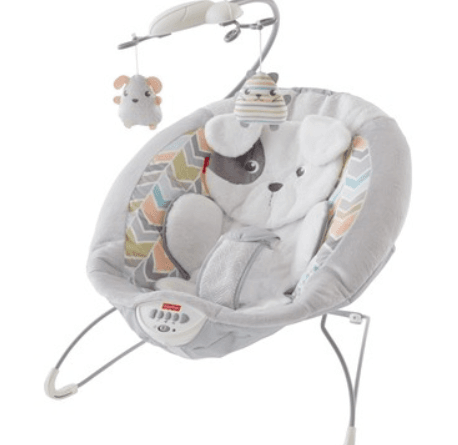 Fisher-Price Sweet Snugapuppy Delüks Ana Kucağı - shuayip.com