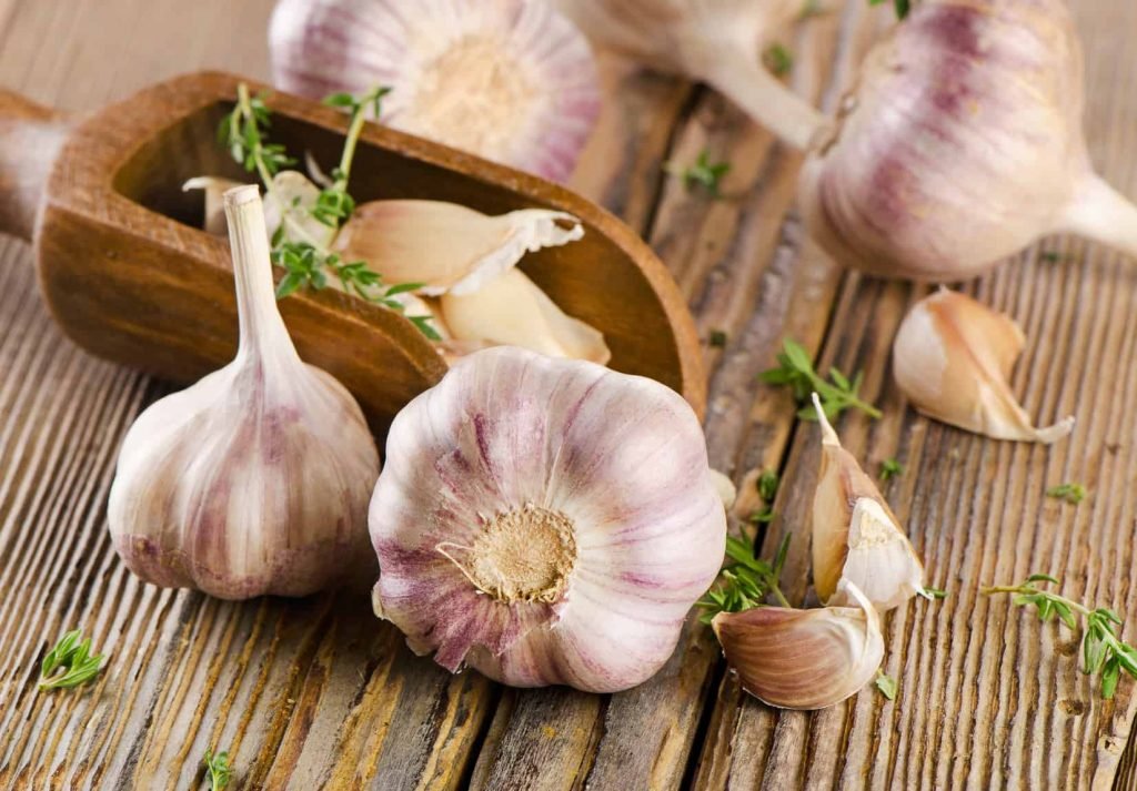 garlic sarımsak 3 | Shuayip.com