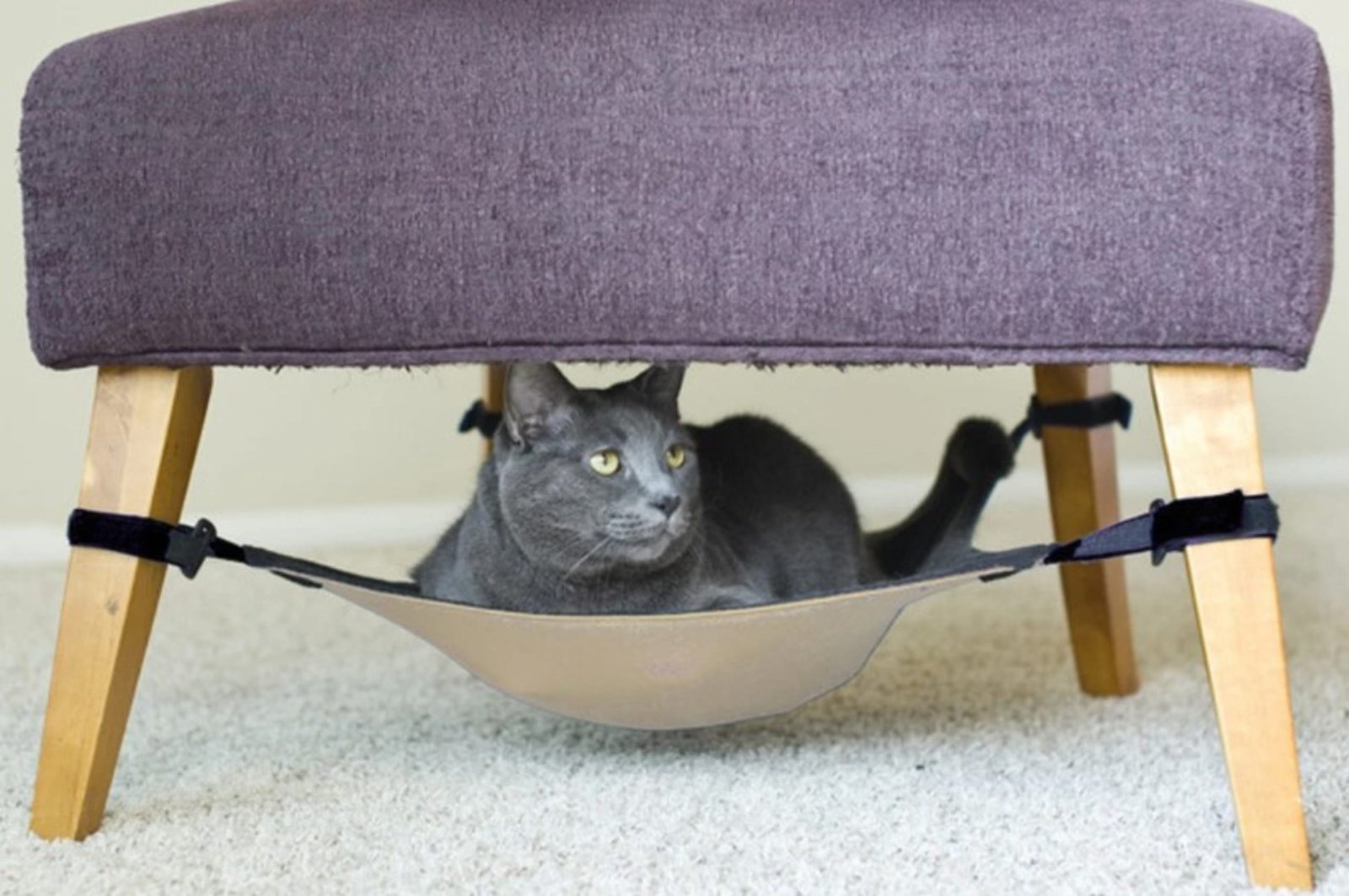 Cat hammock