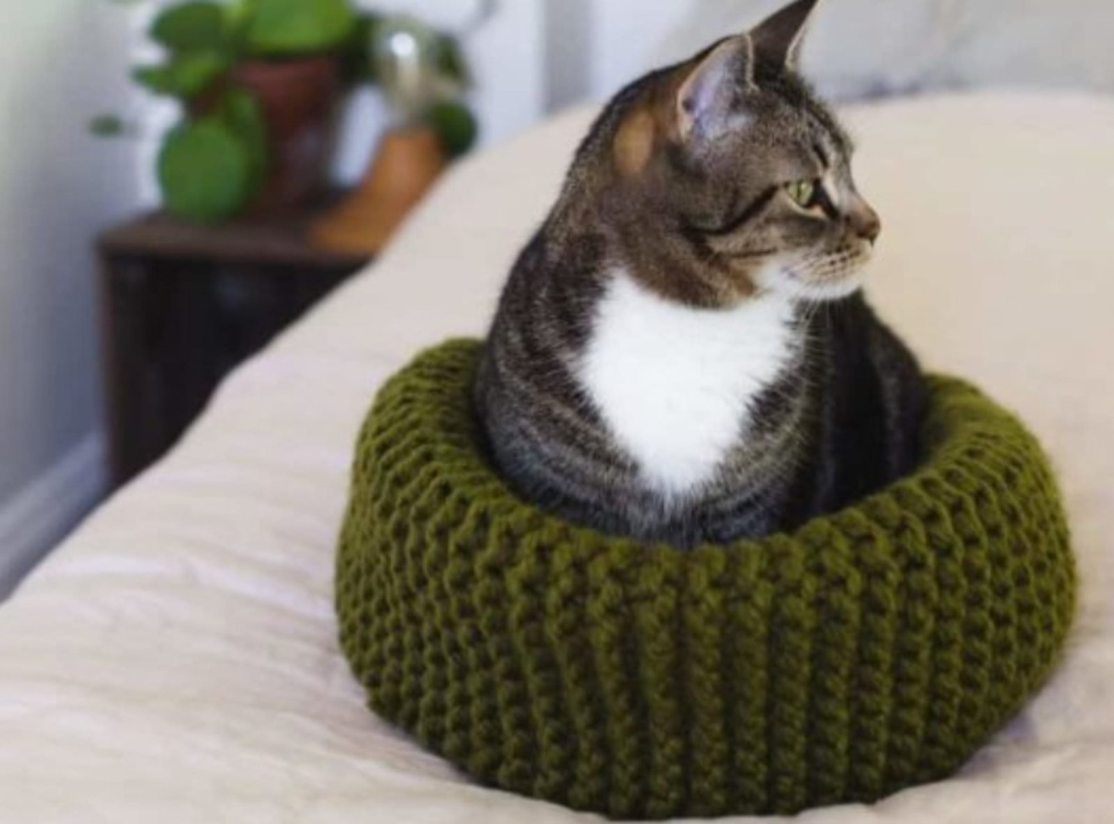 Knitted cat bed