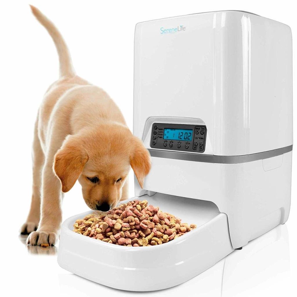 You can make your life easier with technological pet products