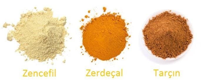 zencefil zerdecal tarcin 14 zencefil 2 | Shuayip.com