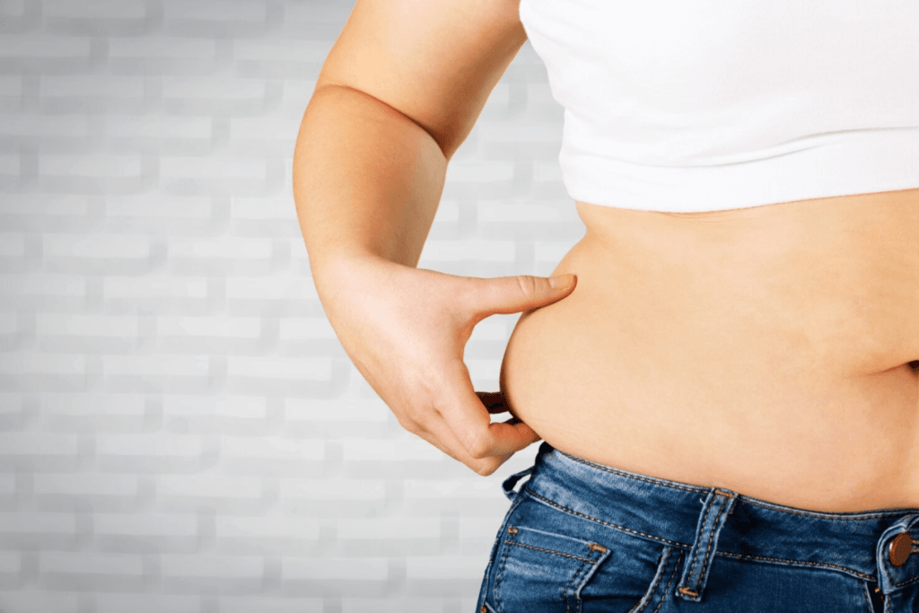 Belly Melting: How to Melt Belly Fat? - shuayip.com