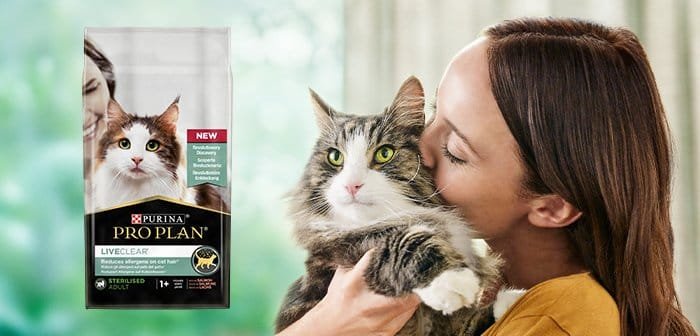 nestle bulten 8 kedi maması 1 | Shuayip.com