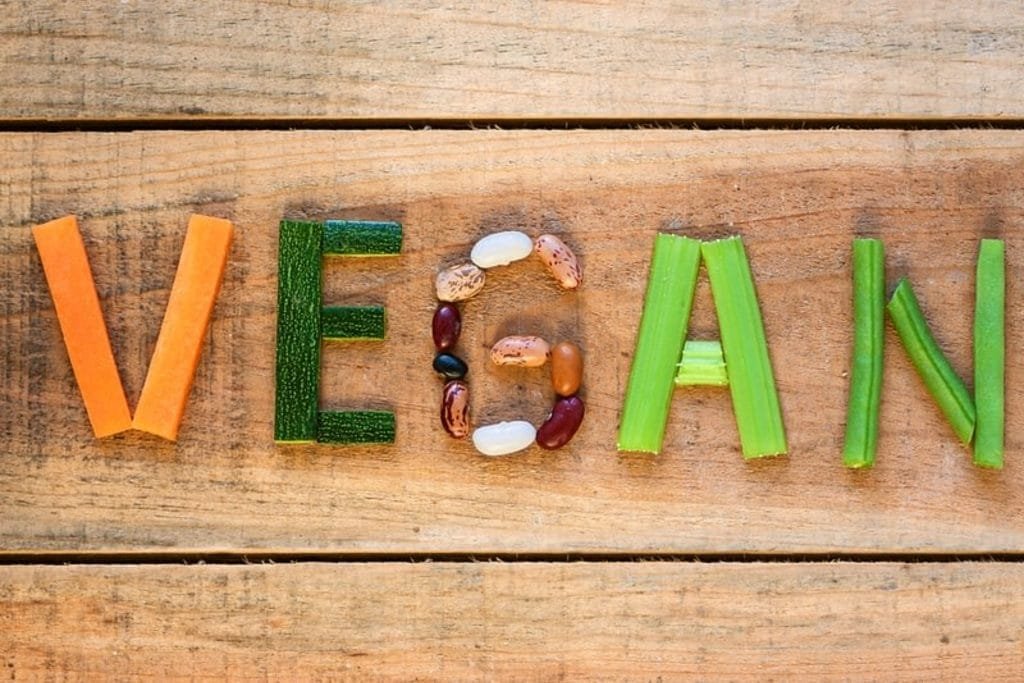 vegan6 2 hayvanlar üzerinde test yapmayan markalar 2 | Shuayip.com